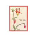 Greeting card with illustration of a red and green flower with a red border on a beige background