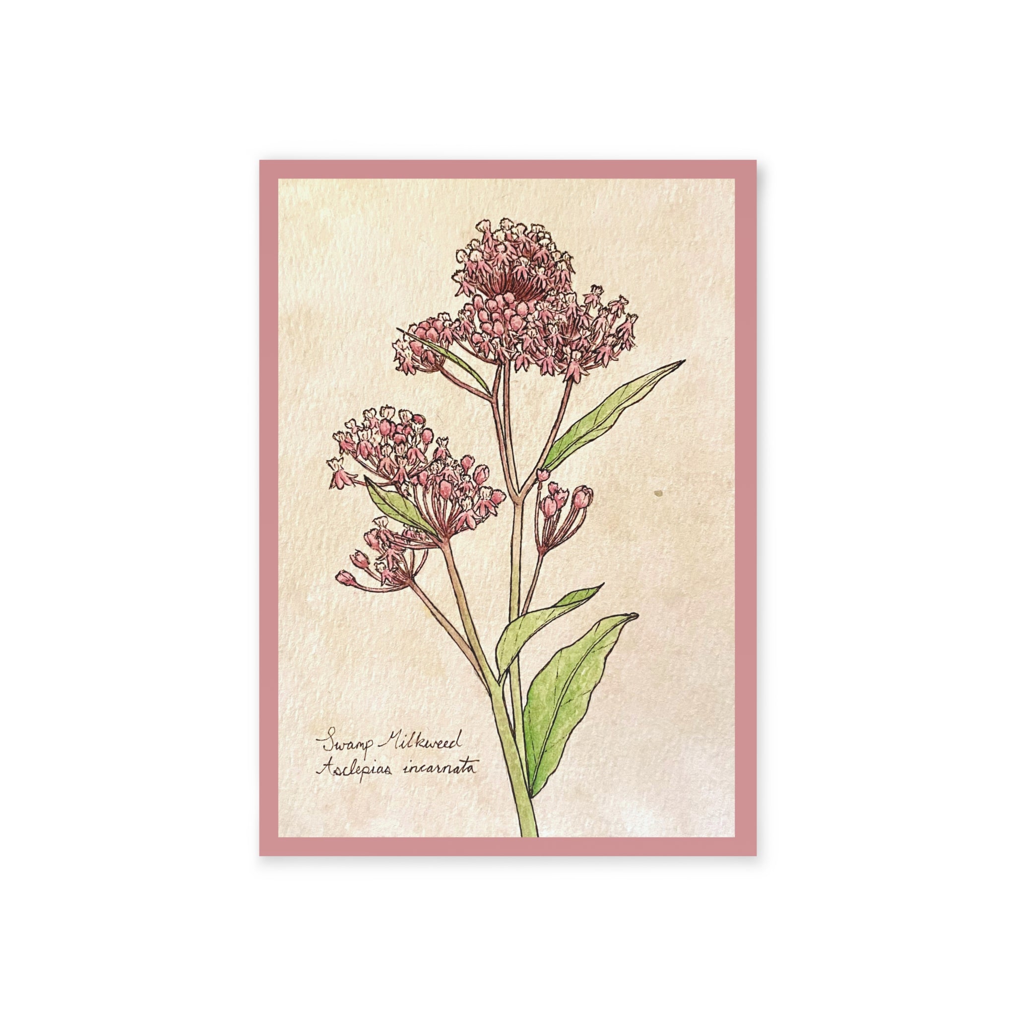 Greeting card woth a botanical illustration of a plant with pink flowers and green leaves on a textured beige background.