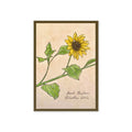 Greeting card with botanical illustration of a yellow flower on a beige background