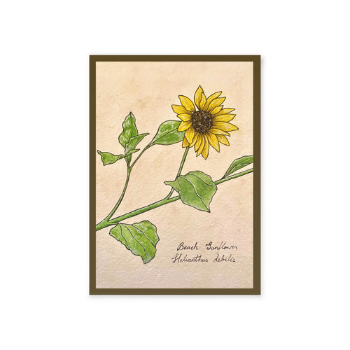 Greeting card with botanical illustration of a yellow flower on a beige background