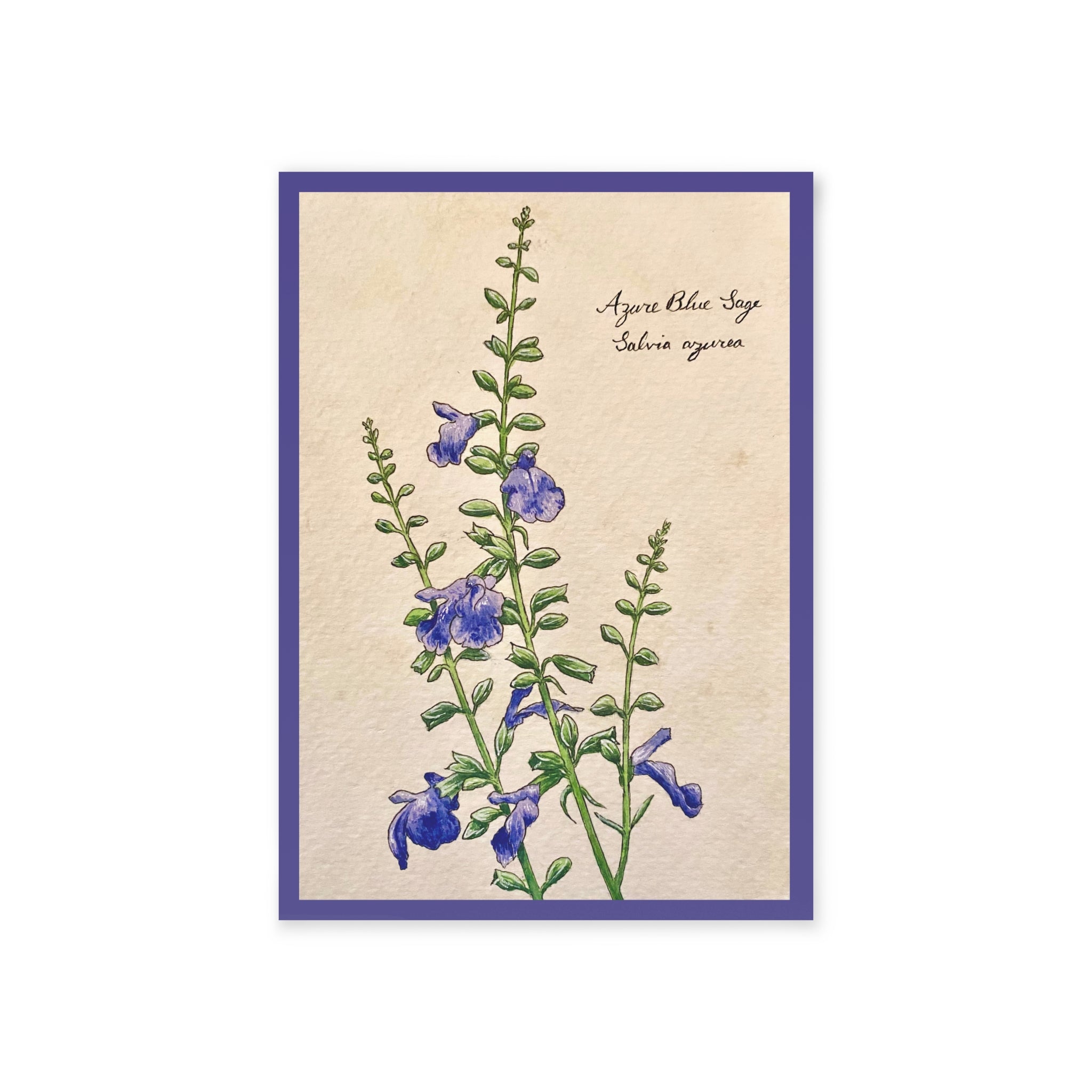 Greeting card with botanical illustration of blue flowers