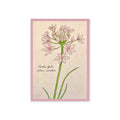 Greeting card with botanical illustration of light pink flowers