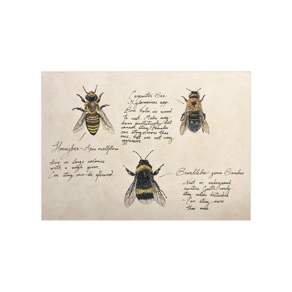 Illustrations of bees on a textured beige background with text.