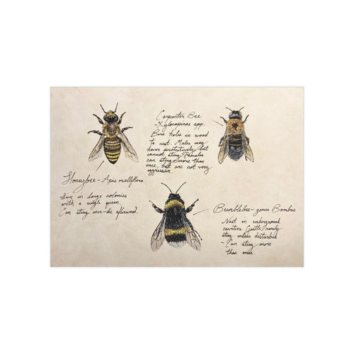 Illustrations of bees on a textured beige background with text.