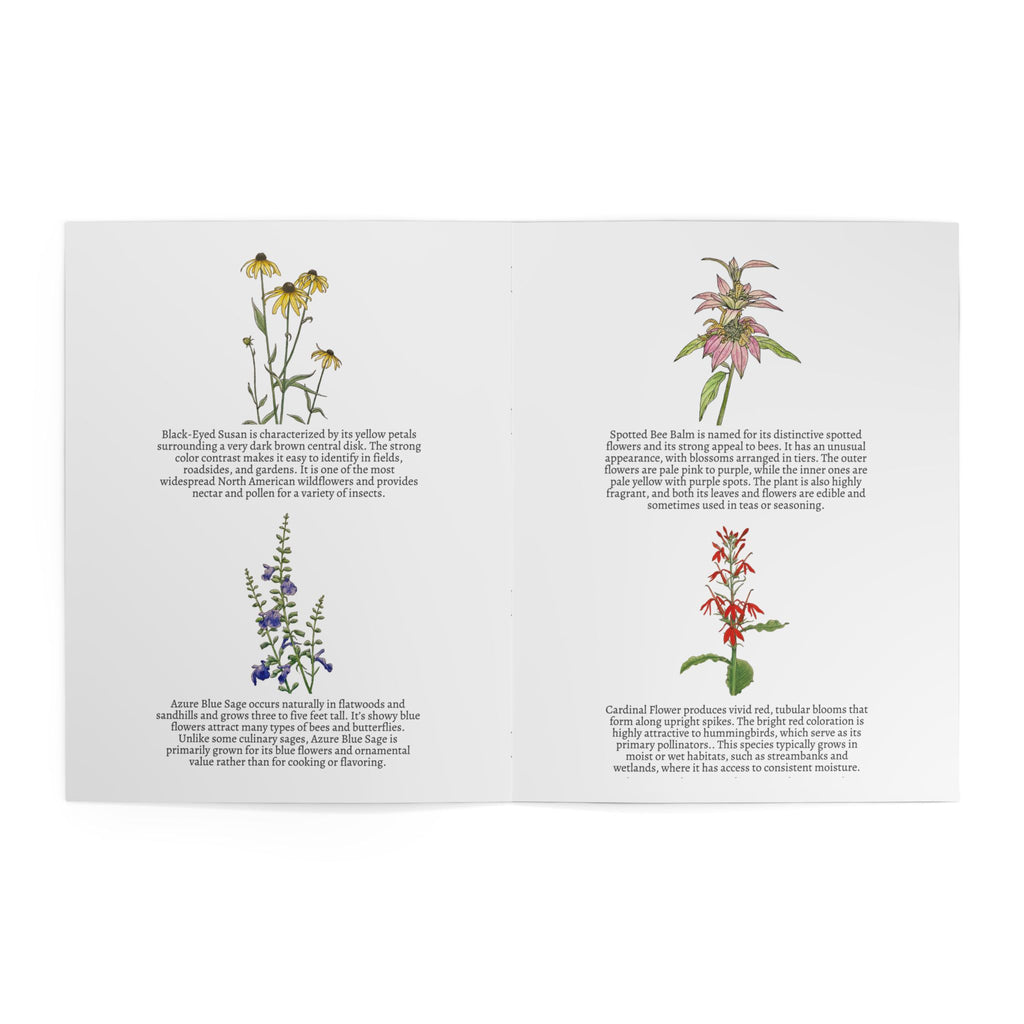 Illustrations of various flowers with descriptive text on a white background