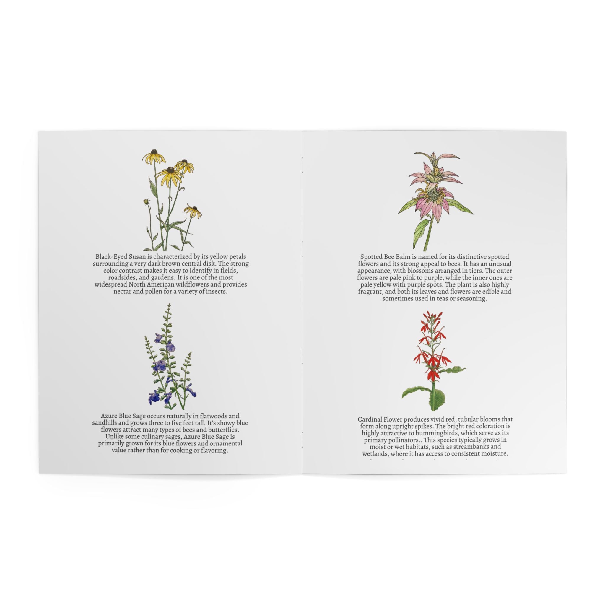 Illustrations of various flowers with descriptive text on a white background