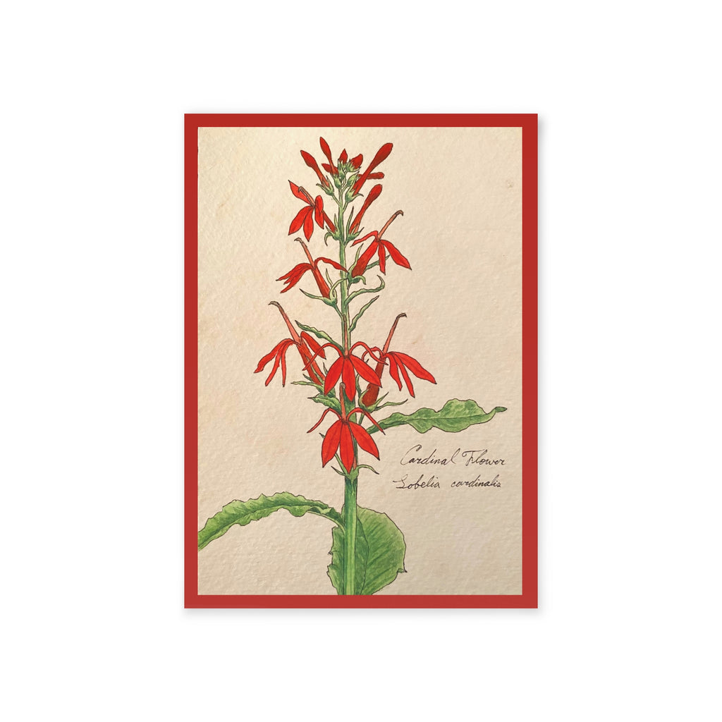Greeting card with a botanical illustration of a red flower with green leaves on a beige background