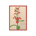 Greeting card with a botanical illustration of a red flower with green leaves on a beige background