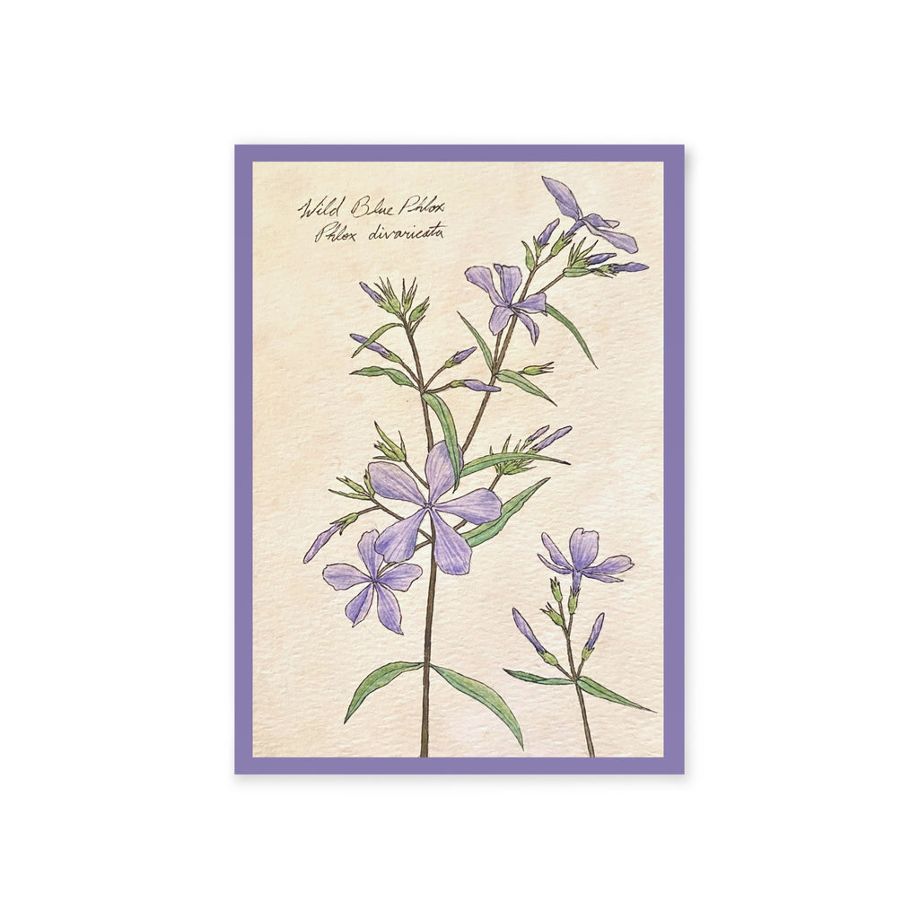 Greeting card with botanical illustration of flowers