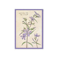 Greeting card with botanical illustration of flowers
