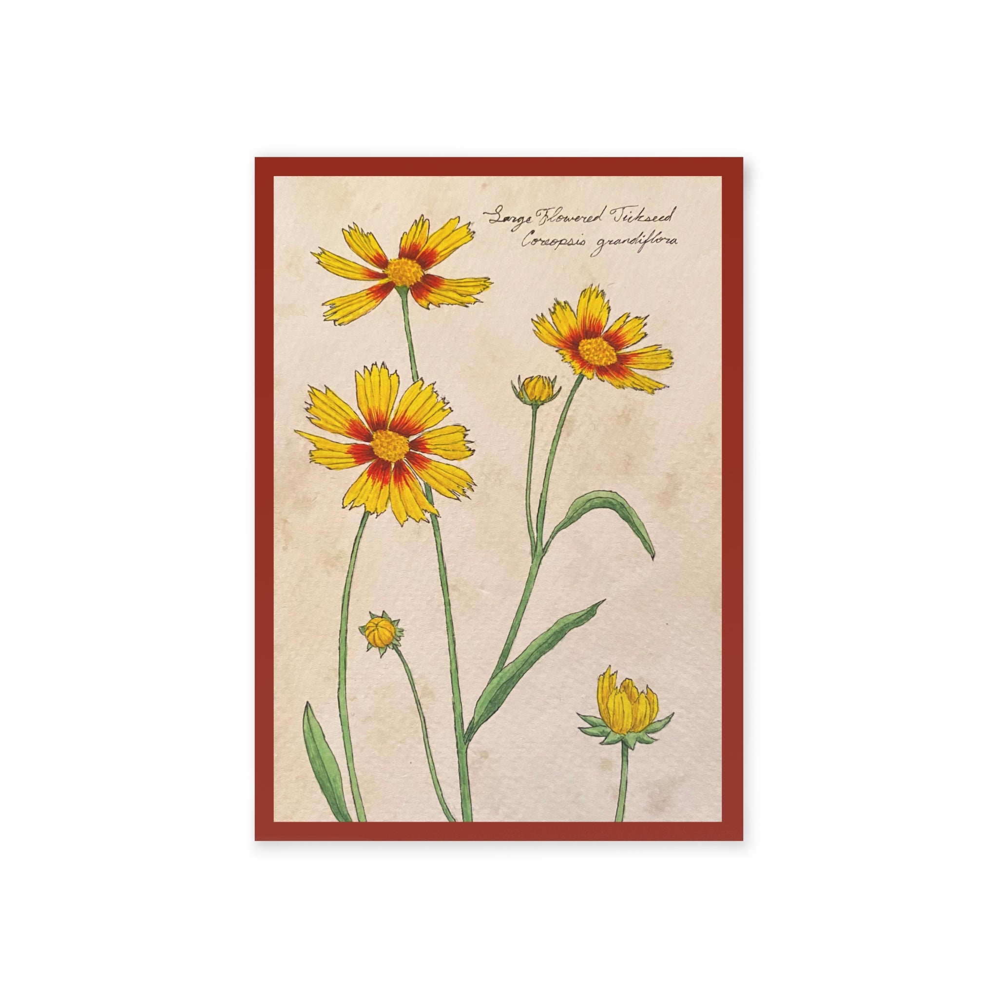 Greeting card of a vintage-style illustration of yellow flowers with a red border on a beige background