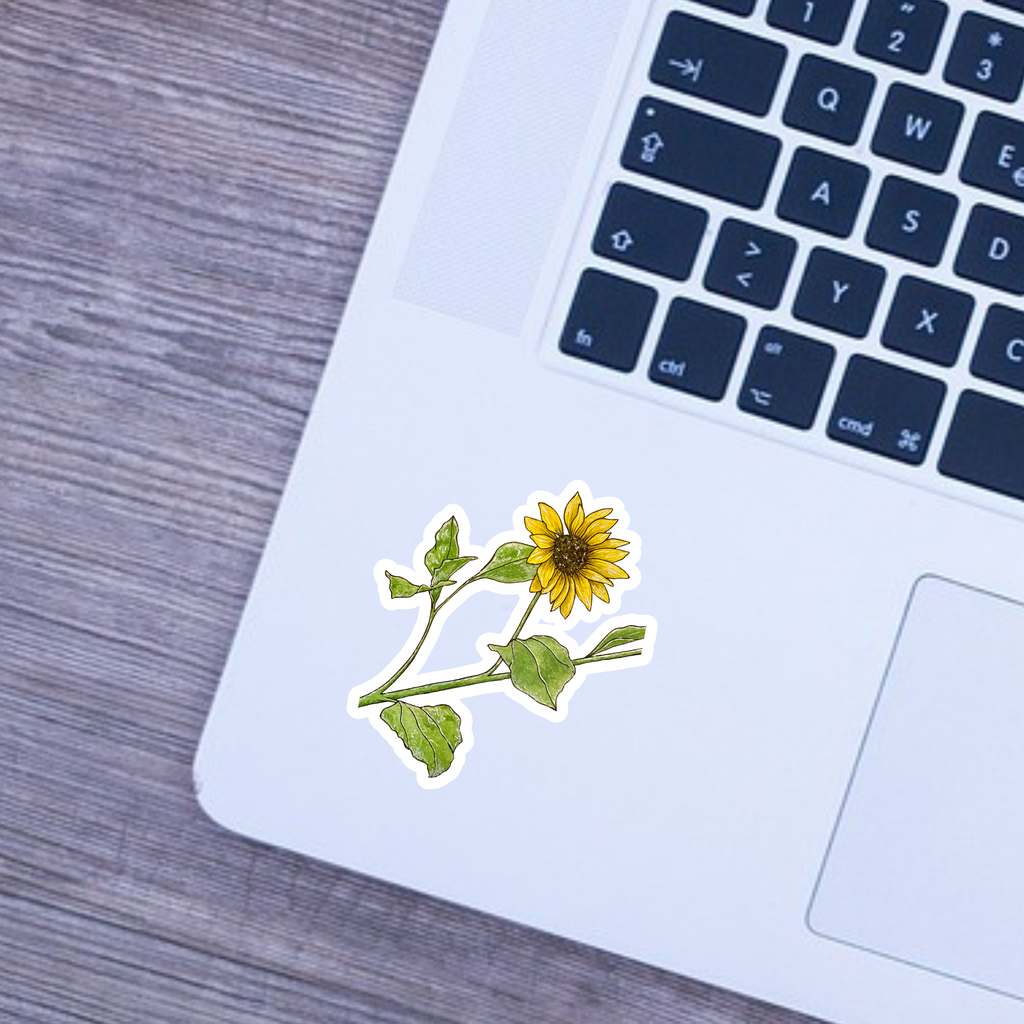 Floral sticker on a laptop keyboard