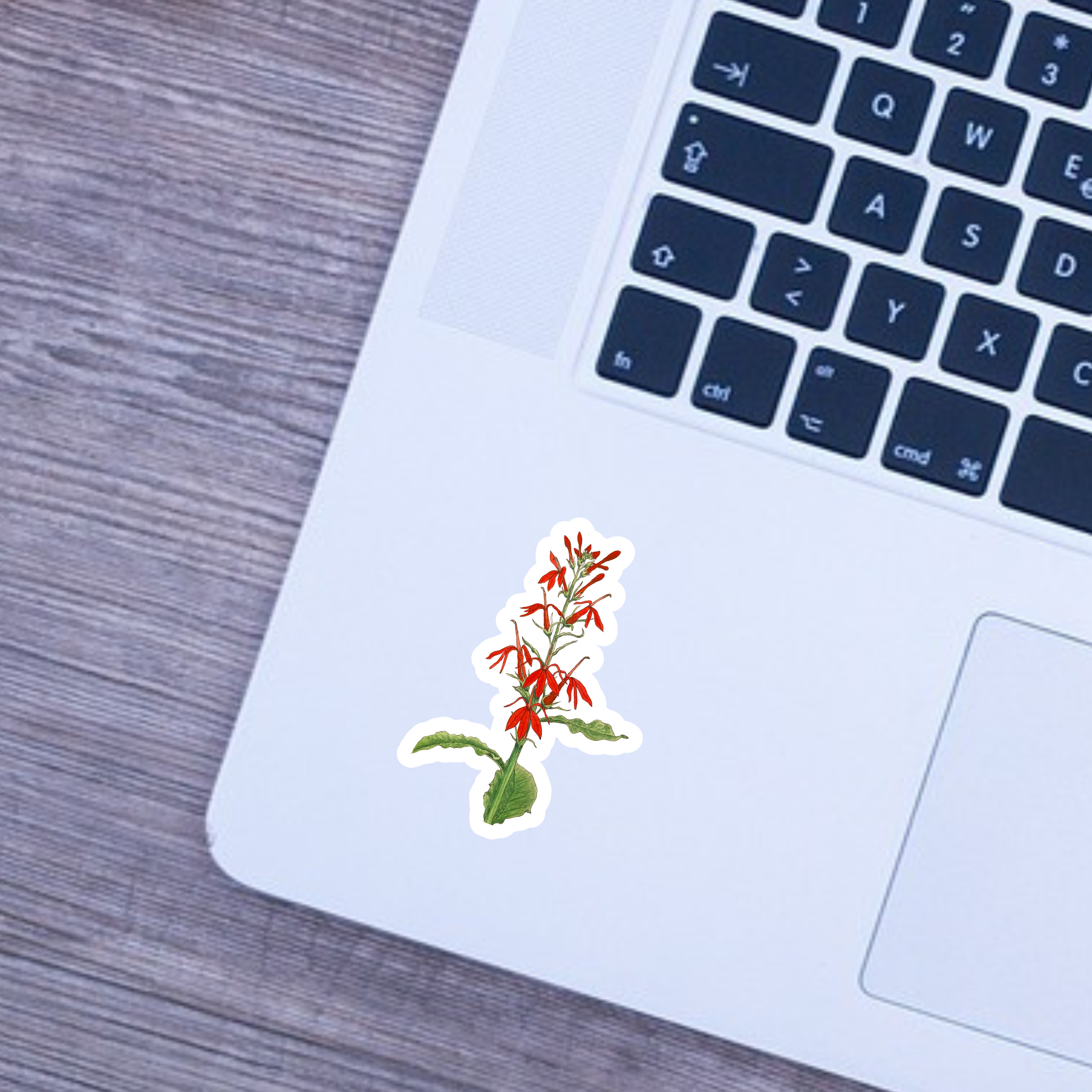 Floral sticker on a laptop keyboard