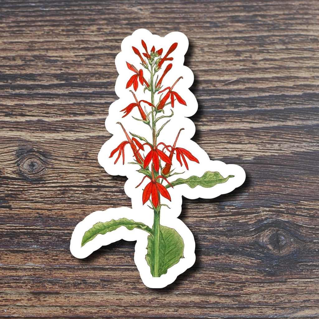 Floral sticker on a wood surface
