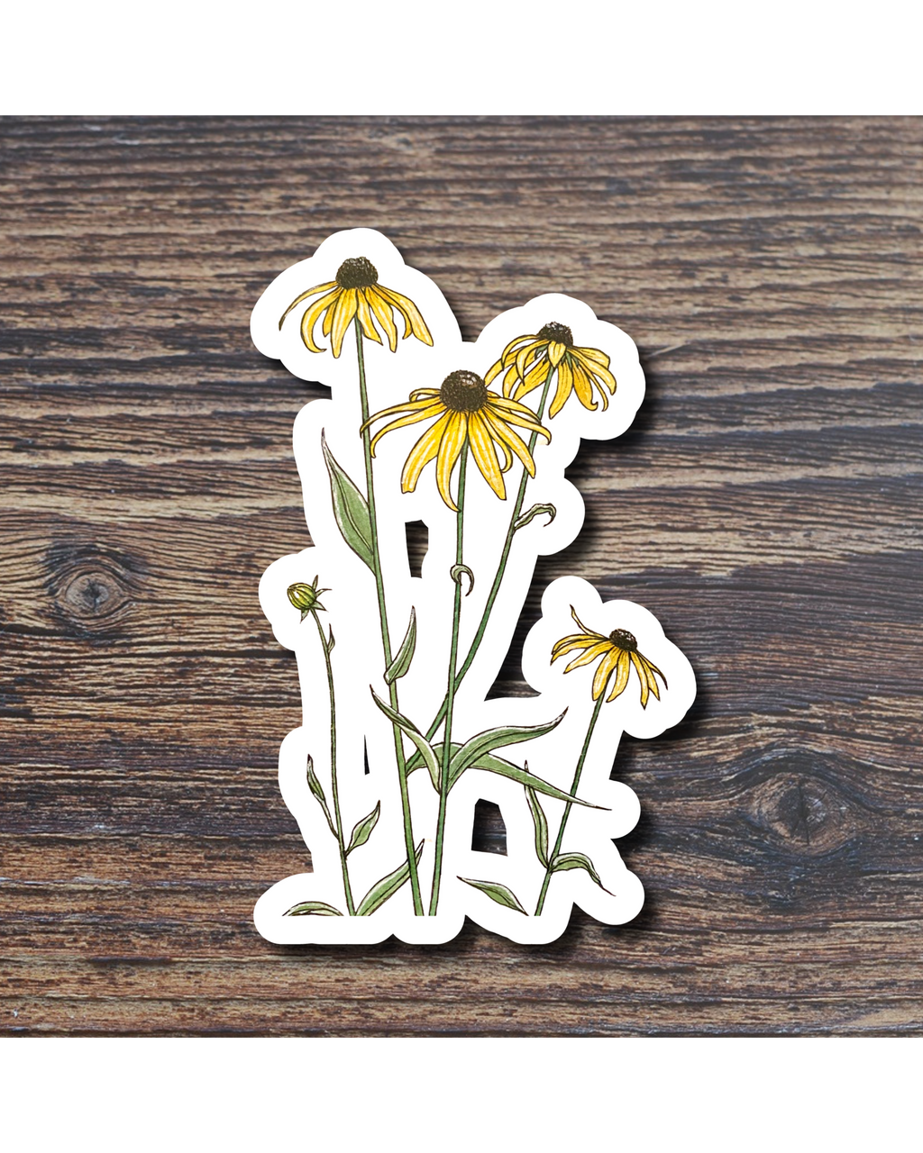 Floral sticker on a wood surface