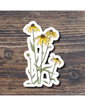 Floral sticker on a wood surface