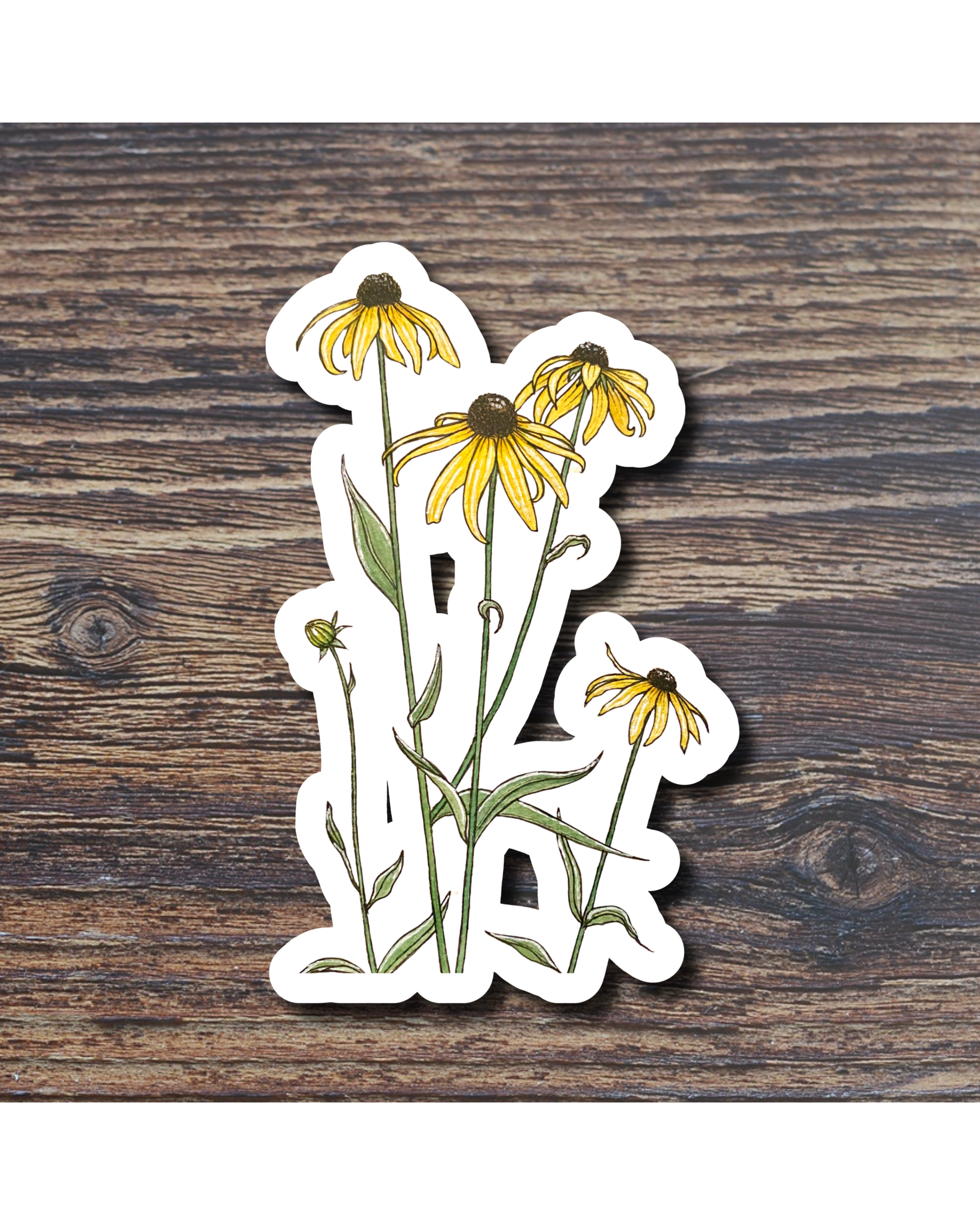 Floral sticker on a wood surface