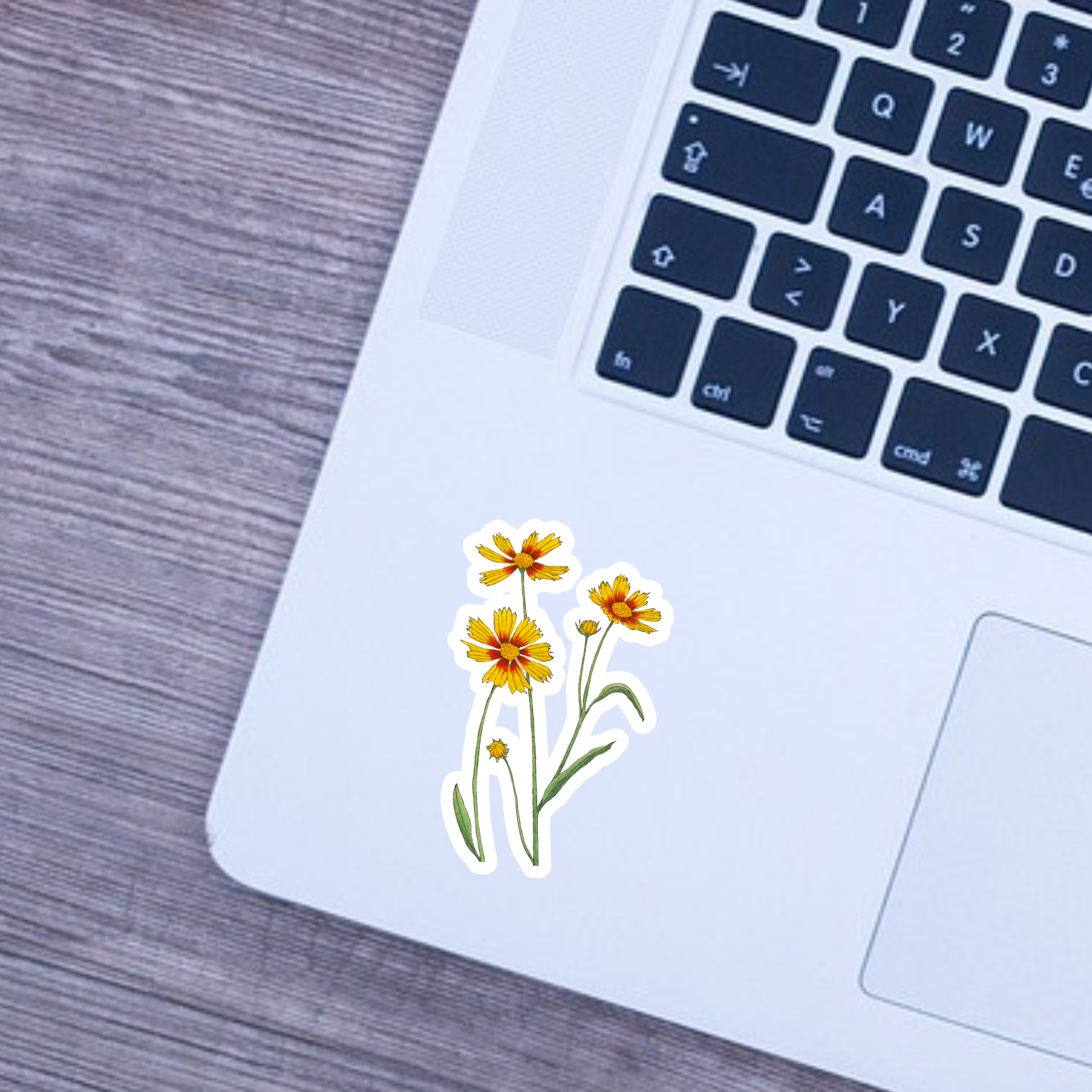 Floral sticker on a laptop keyboard