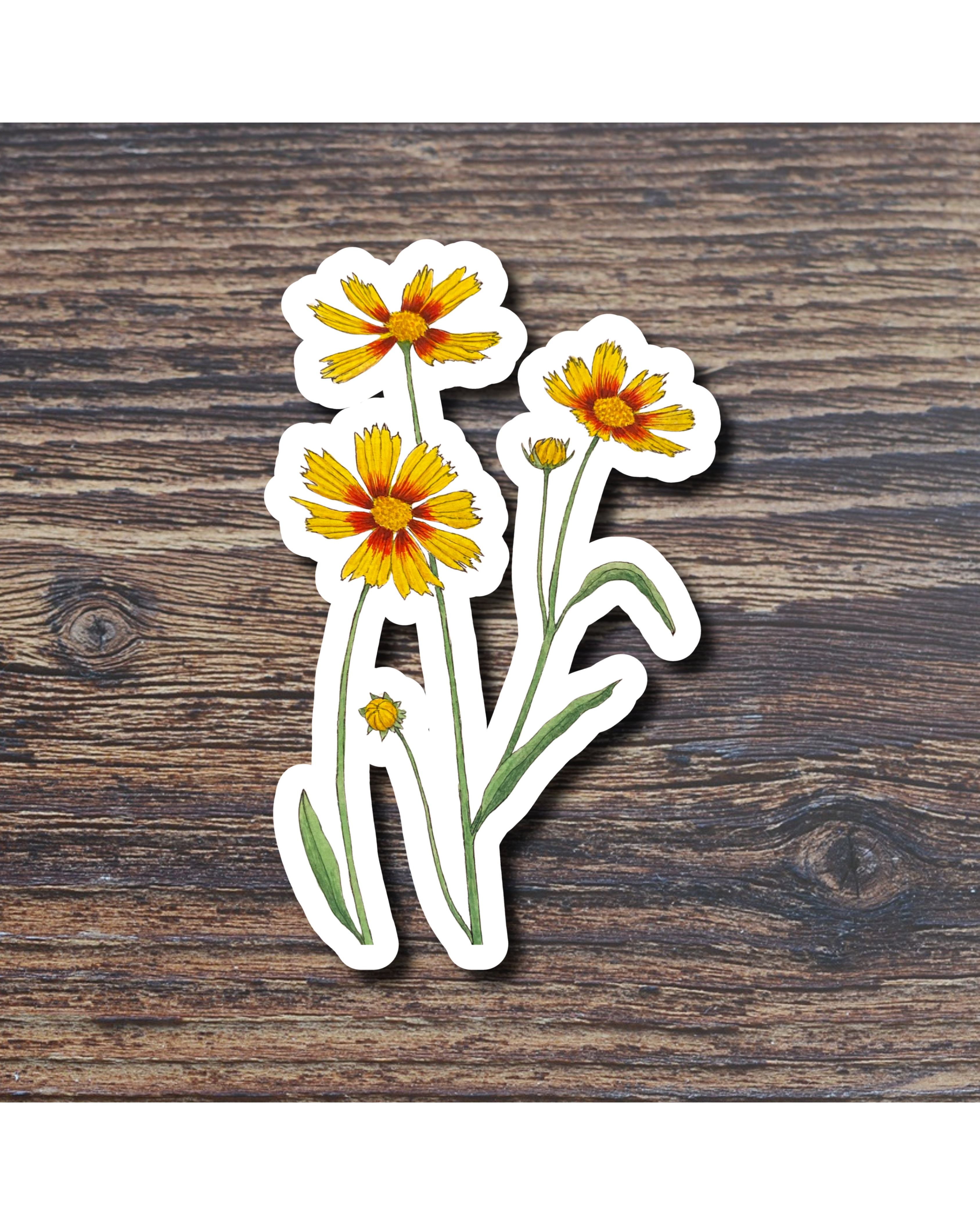Floral sticker on a wood surface
