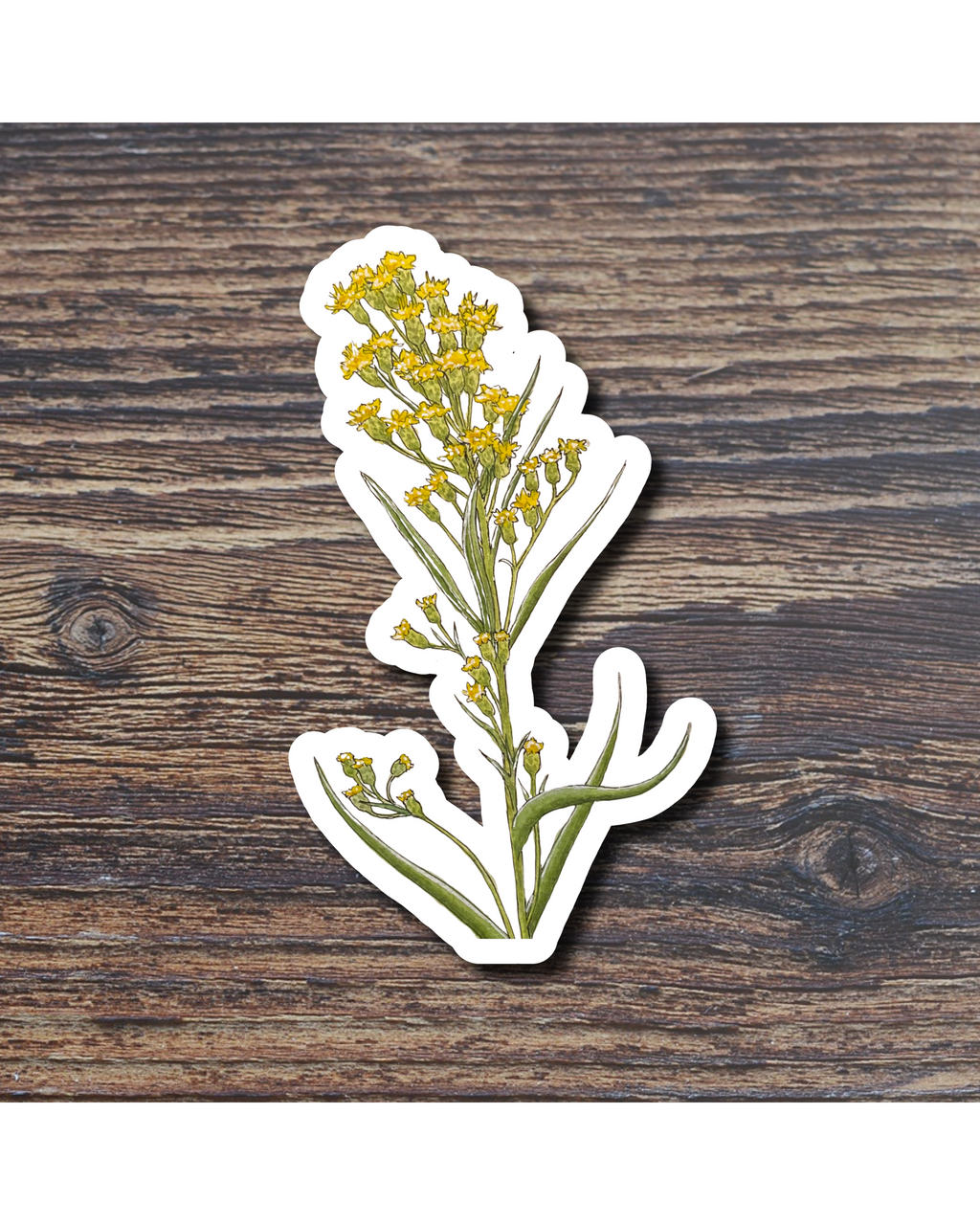 Sticker of a plant with yellow flowers on a wooden surface