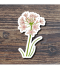 Floral sticker on a wood surface
