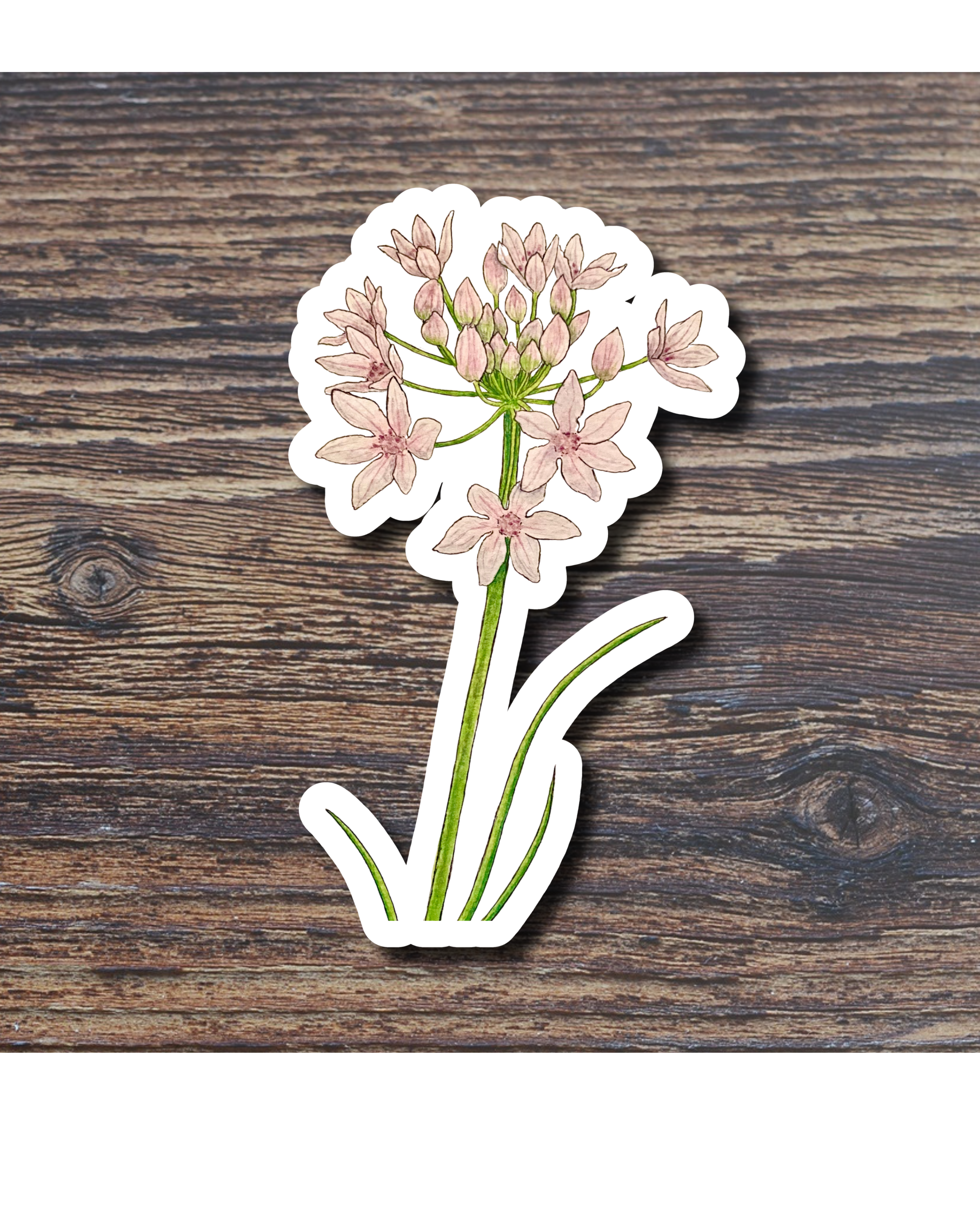 Floral sticker on a wood surface