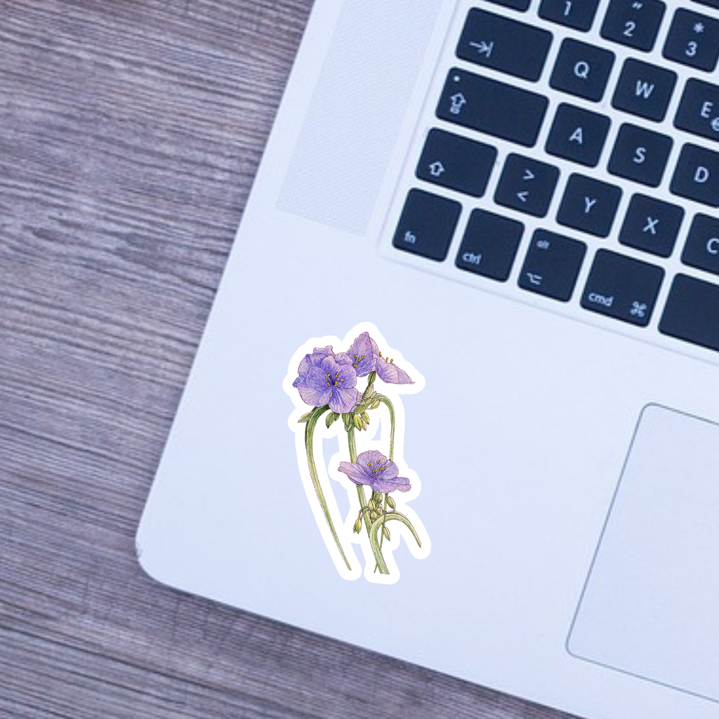 Floral sticker on a laptop keyboard