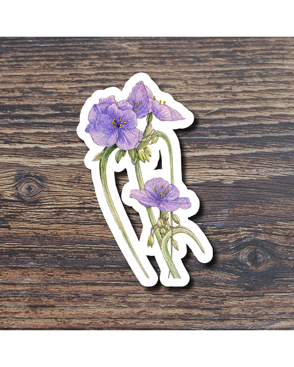 Floral sticker on a wood surface