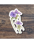Floral sticker on a wood surface