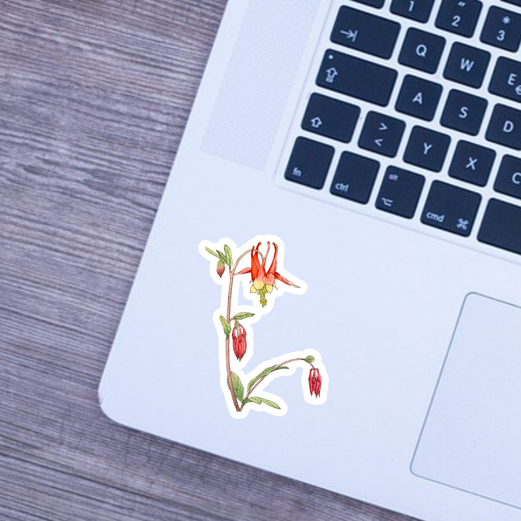 Floral sticker on a laptop keyboard