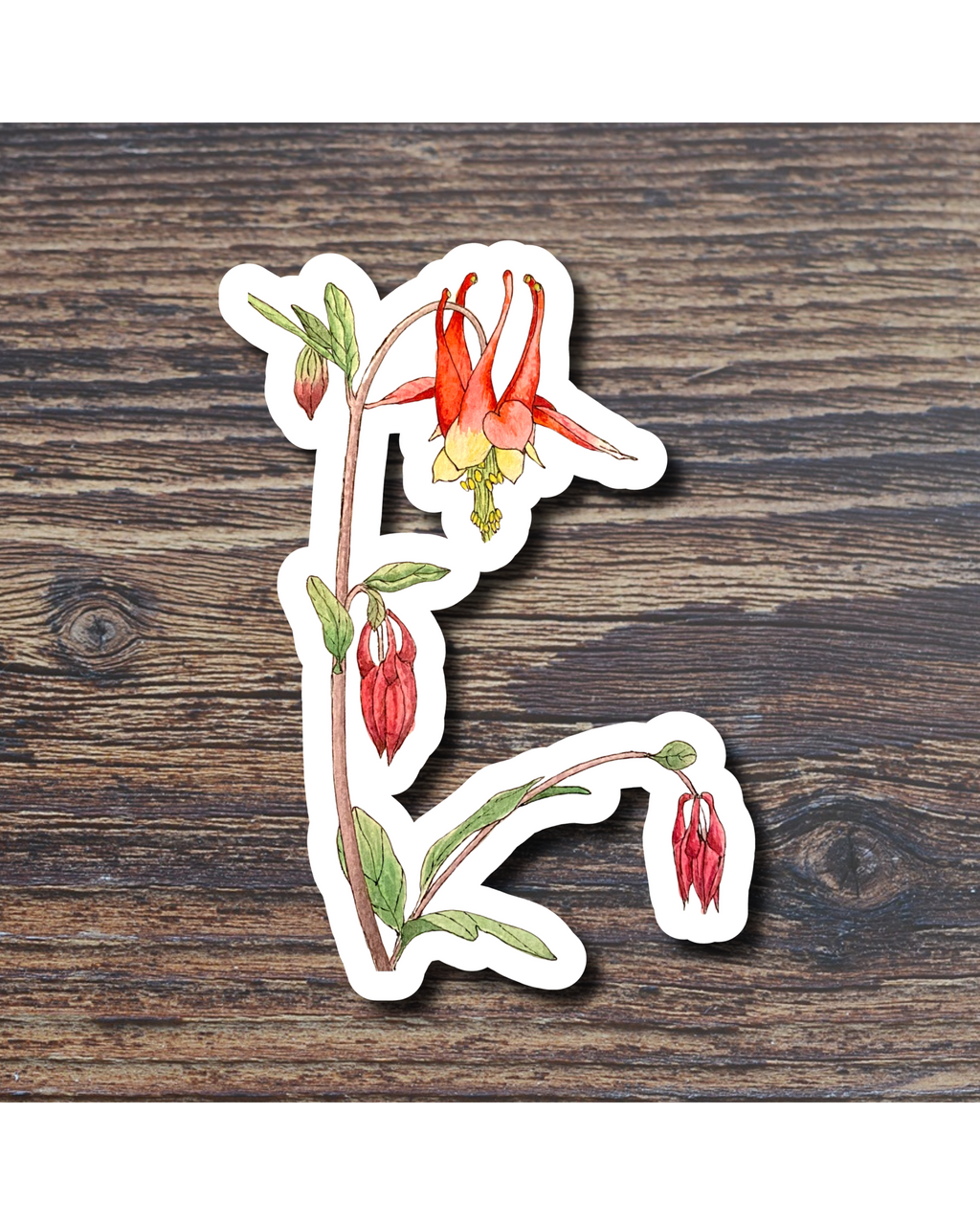 Floral stcker on a wood surface