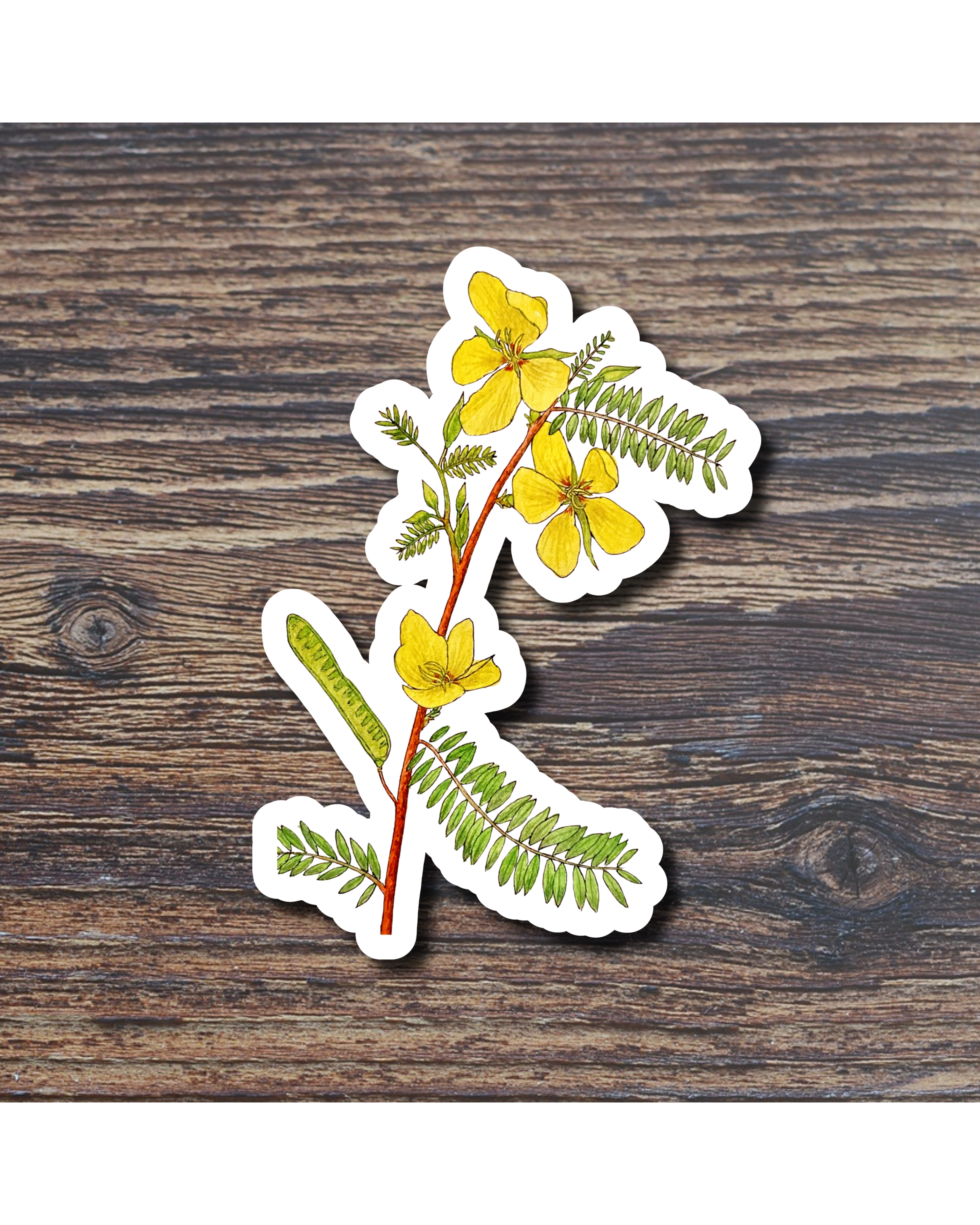 Floral sticker on a wood surface