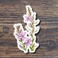 Floral sticker with pink flowers and green leaves on a wooden surface