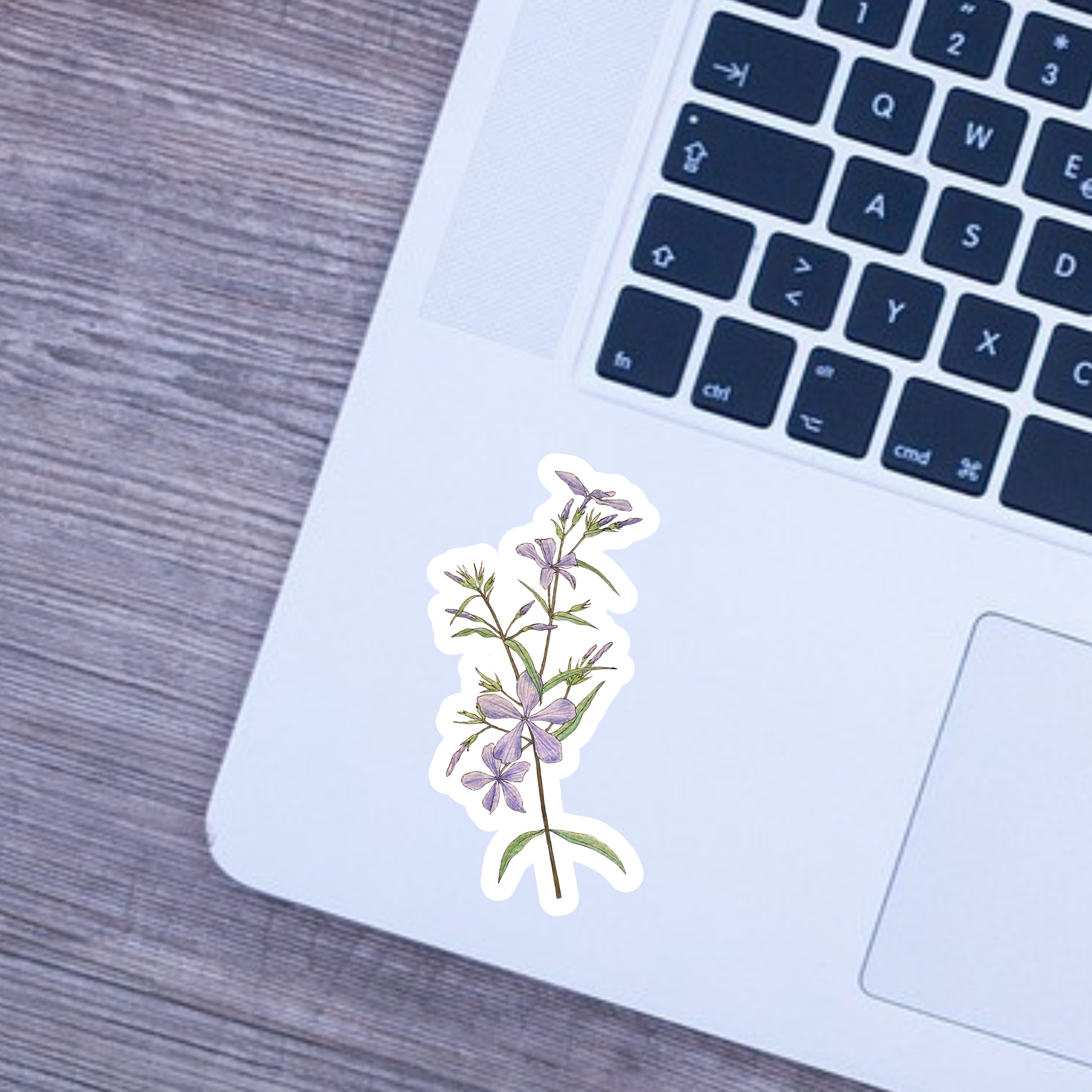 Floral sticker on a laptop keyboard