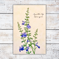 Botanical illustration on a white wood surface