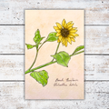 Illustration of a sunflower on a white wood surface