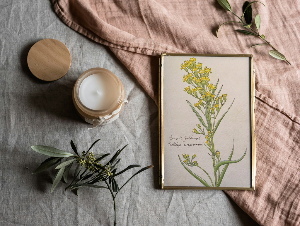 Framed botanical print on a textured surface with a candle and greenery