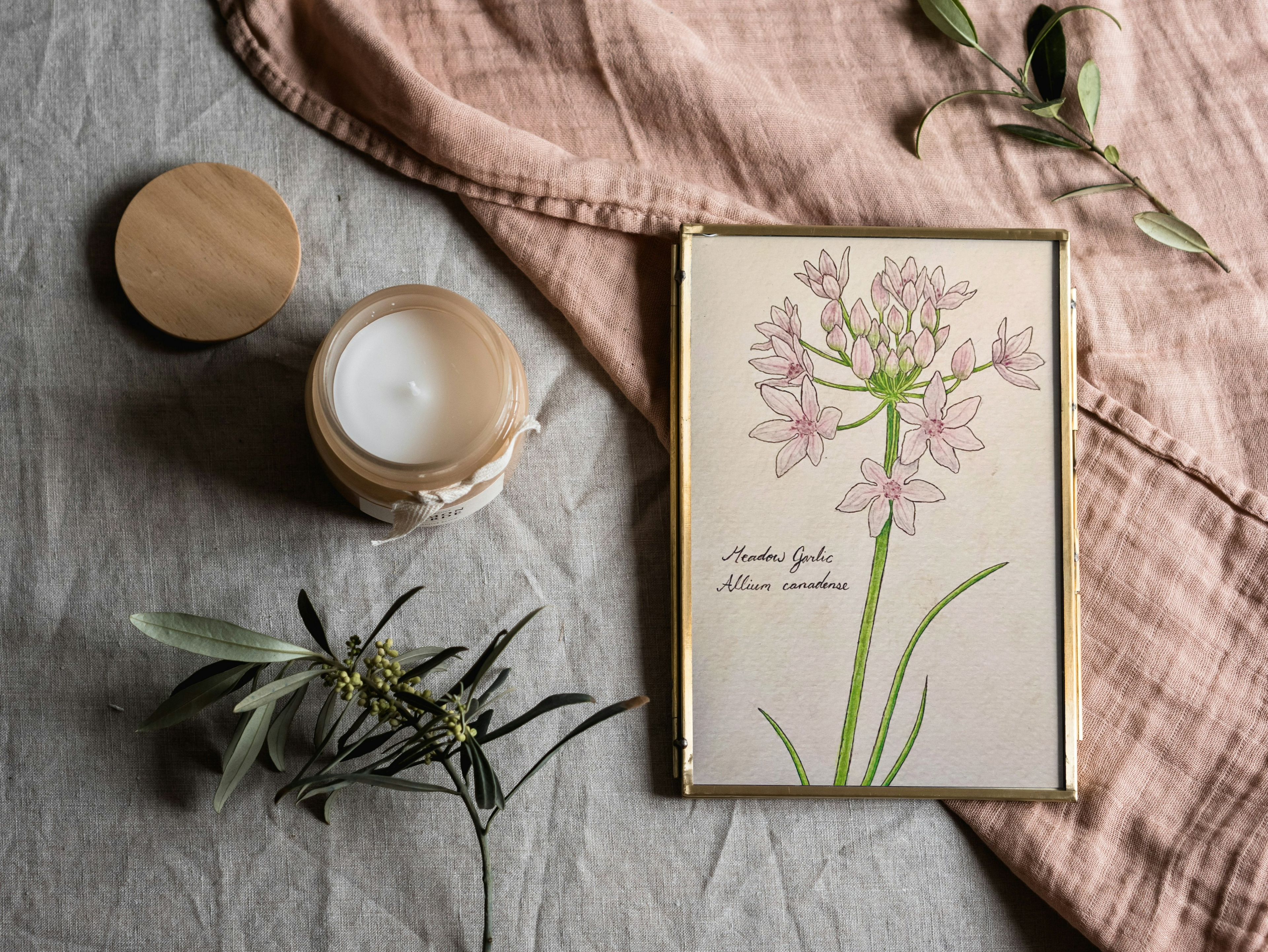 Framed botanical print on a textured surface with a candle and greenery