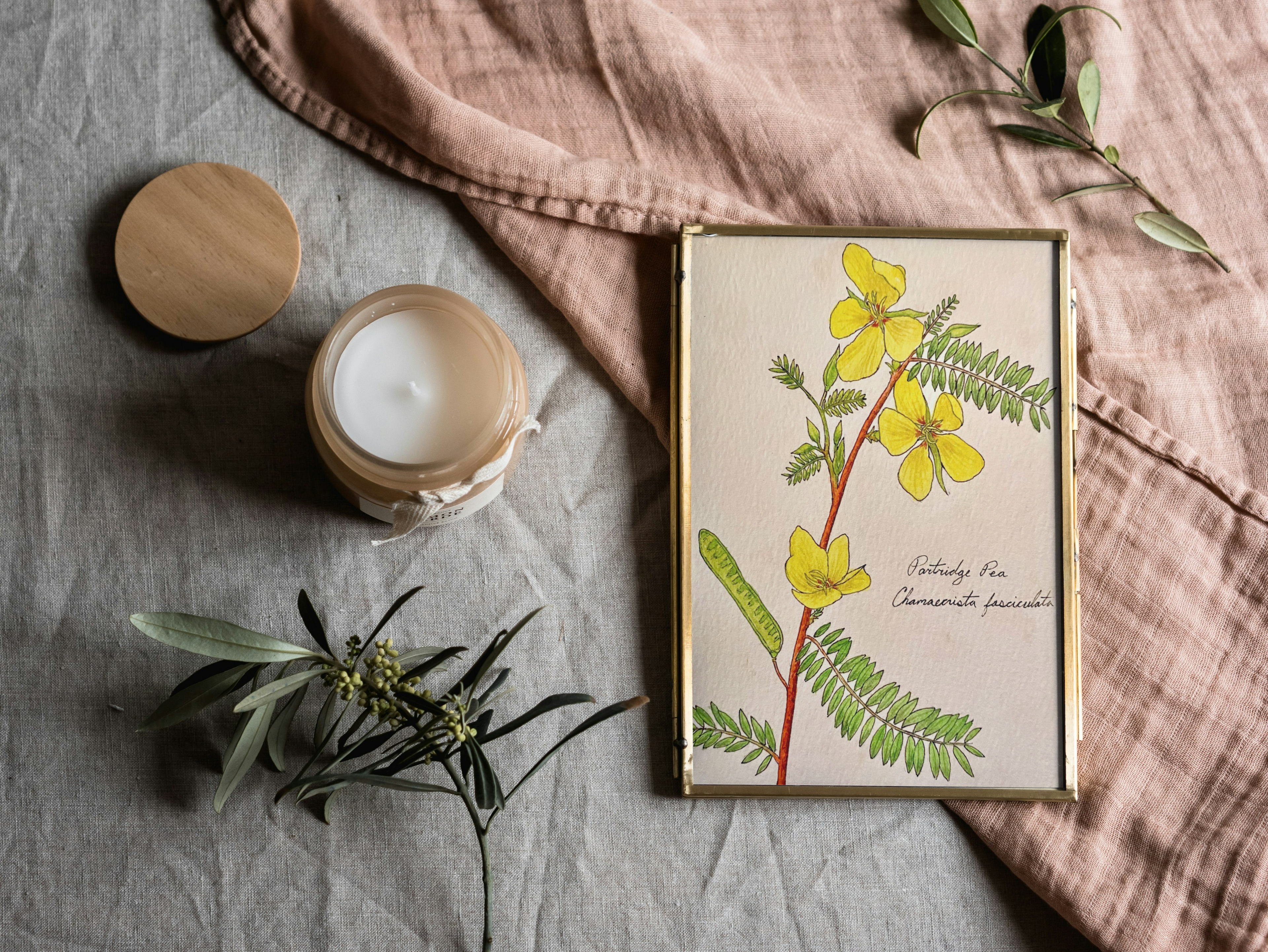 Framed botanical illustration of yellow flowers on a textured fabric background with a candle and greenery.