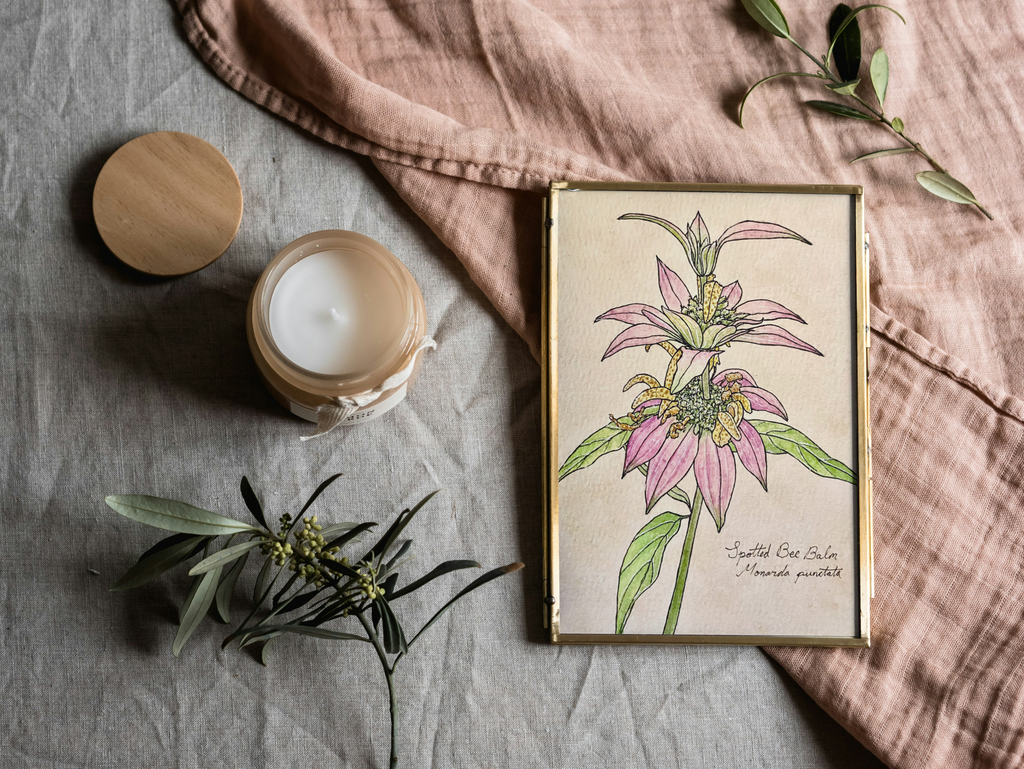 Framed botanical print on a textured surface with a candle and greenery