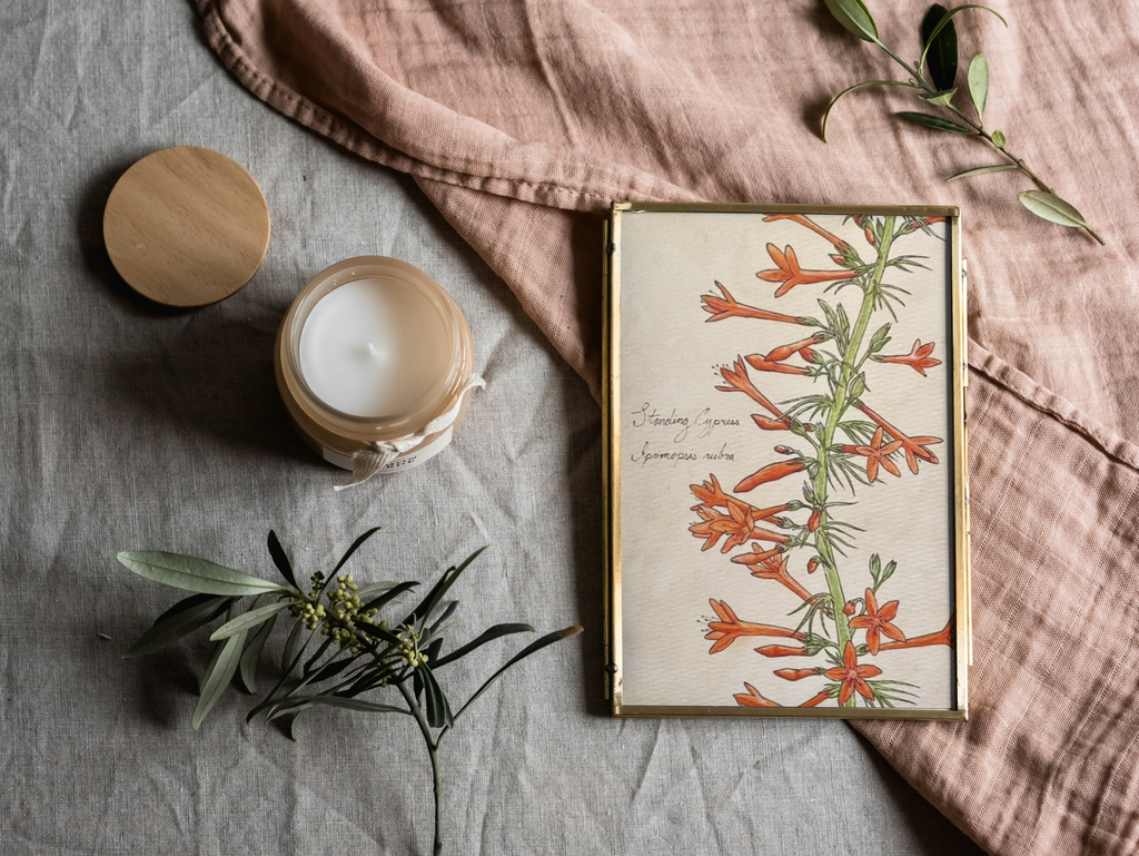 Framed print of a botonical illustration on a textured surface with a candle and greenery