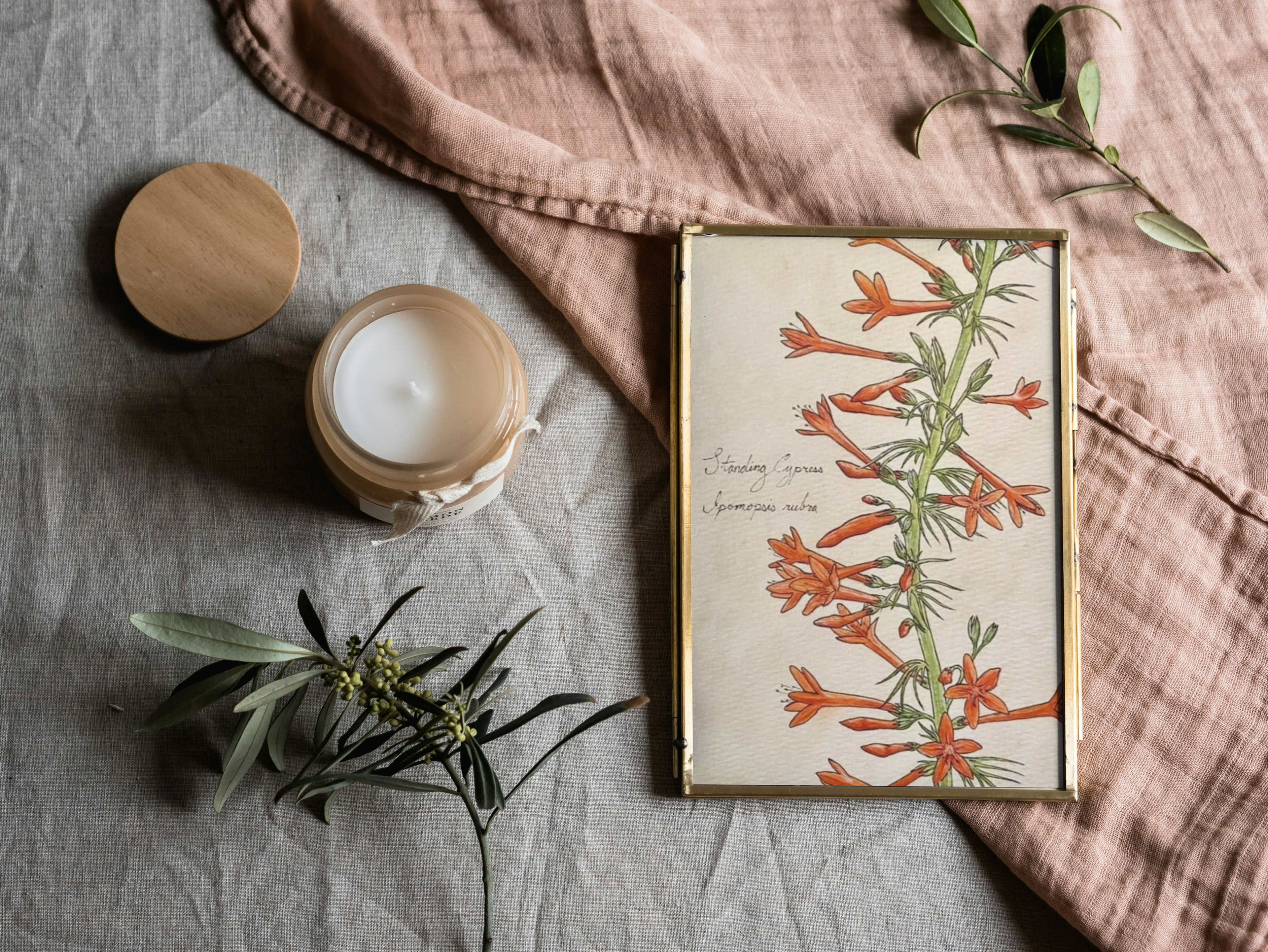 Framed print of a botonical illustration on a textured surface with a candle and greenery