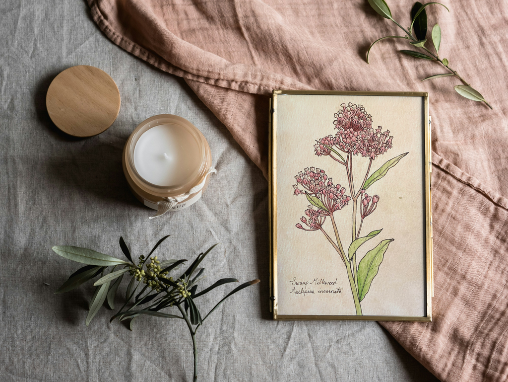 Framed botanical illustration on a textured surface with a candle and greenery