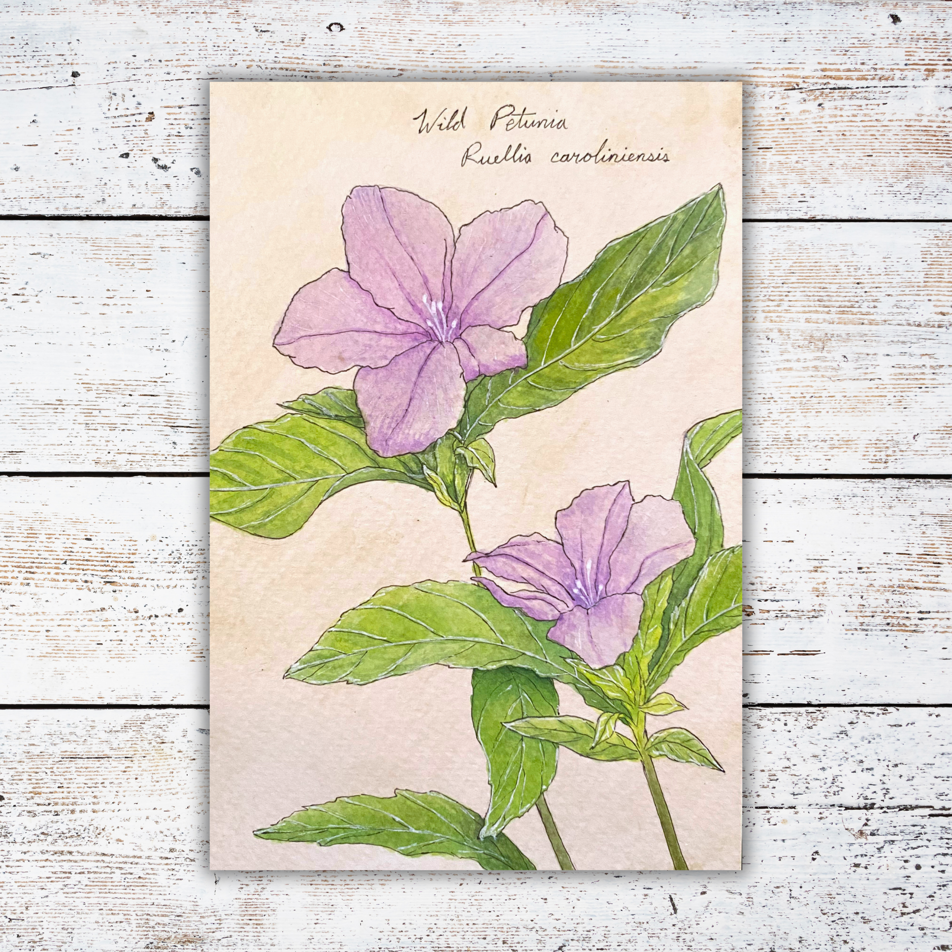 Botanical illustration of purple flowers and green leaves on a white wood background