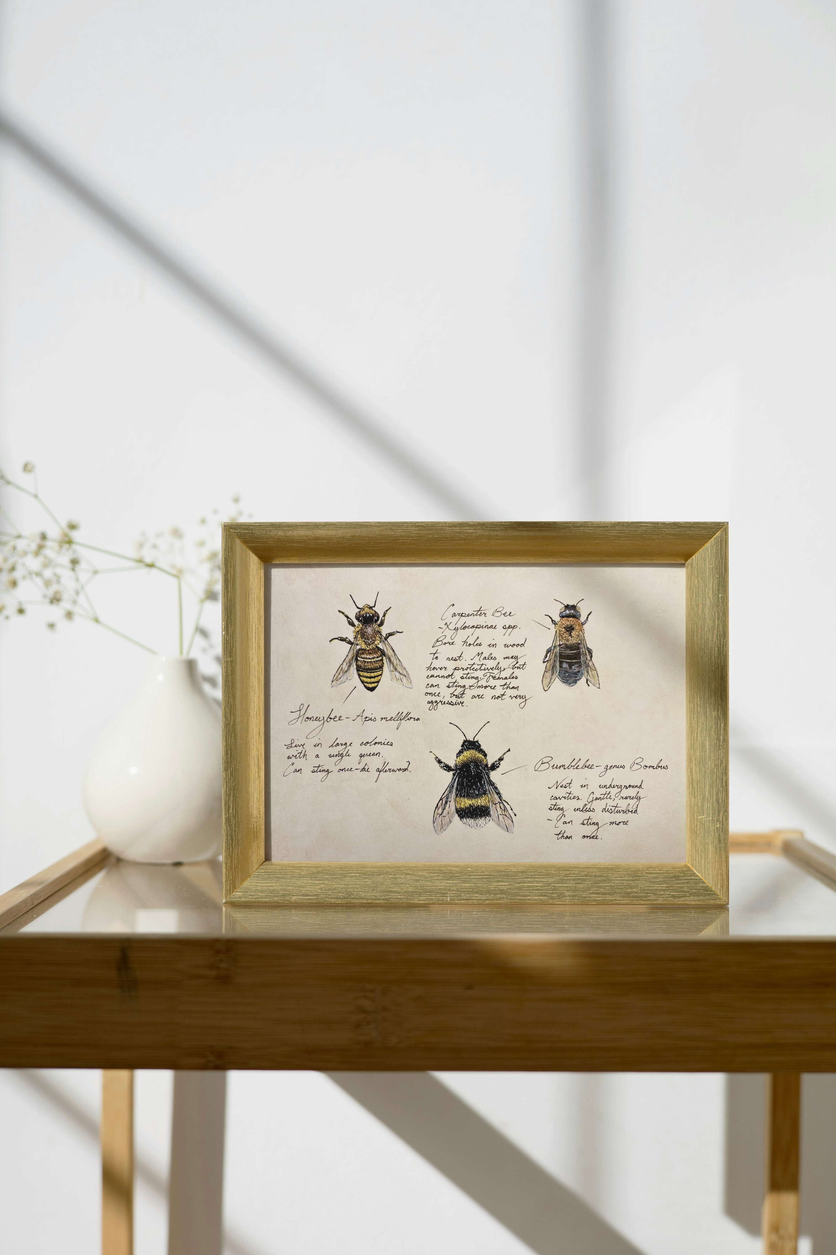 Framed artwork print of bee illustrations and text on a wooden table.