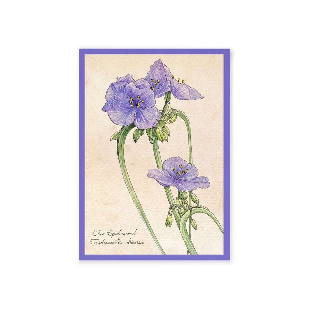 Greeting card with an illustration of purple flowers with a beige background