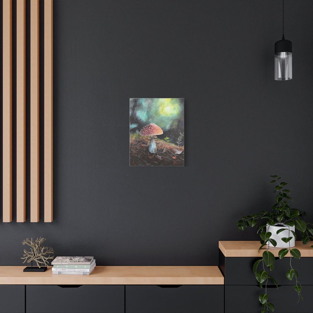 Canvas print of a mushroom on a dark wall with wooden shelves