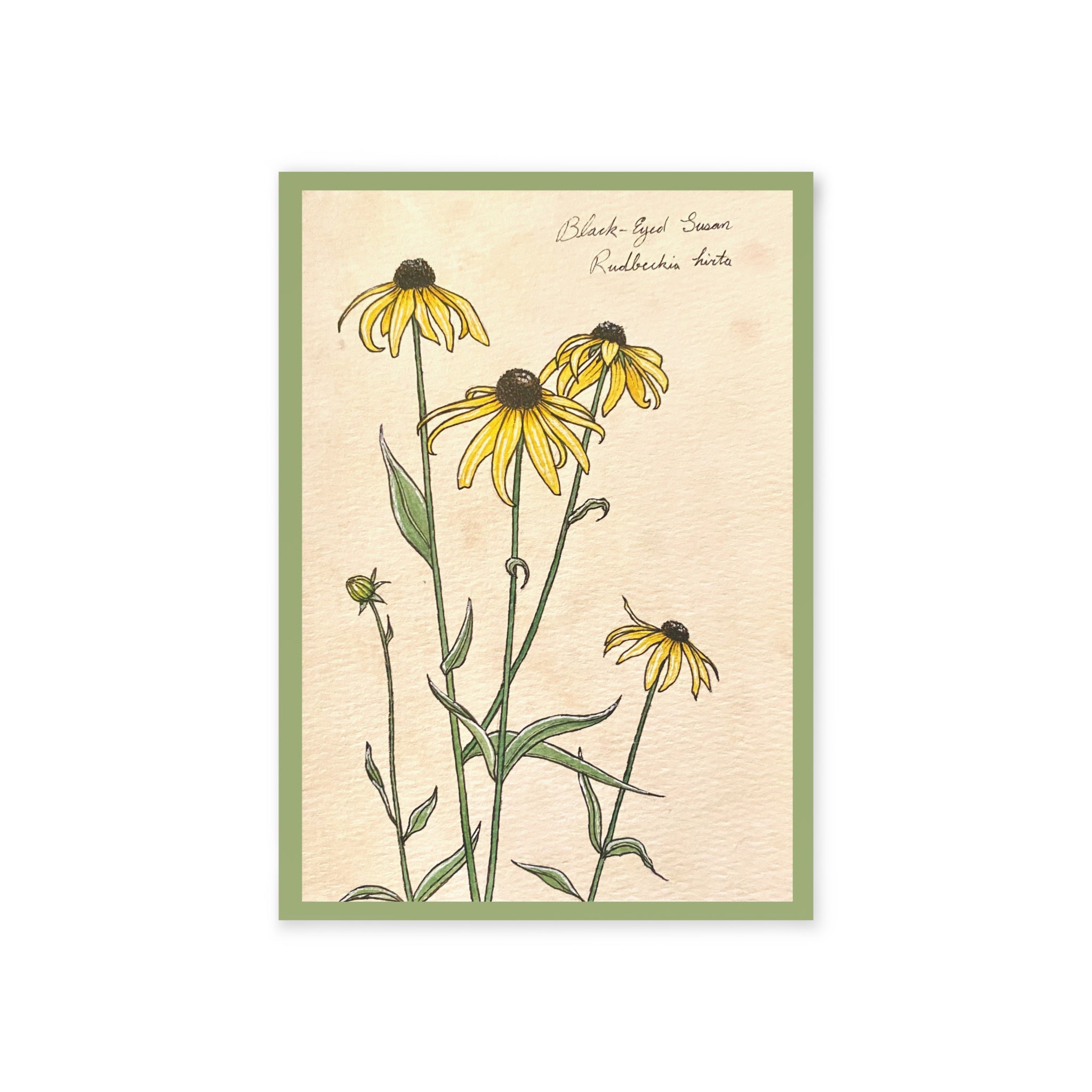 Greeting card with botanical illustration of yellow flowers