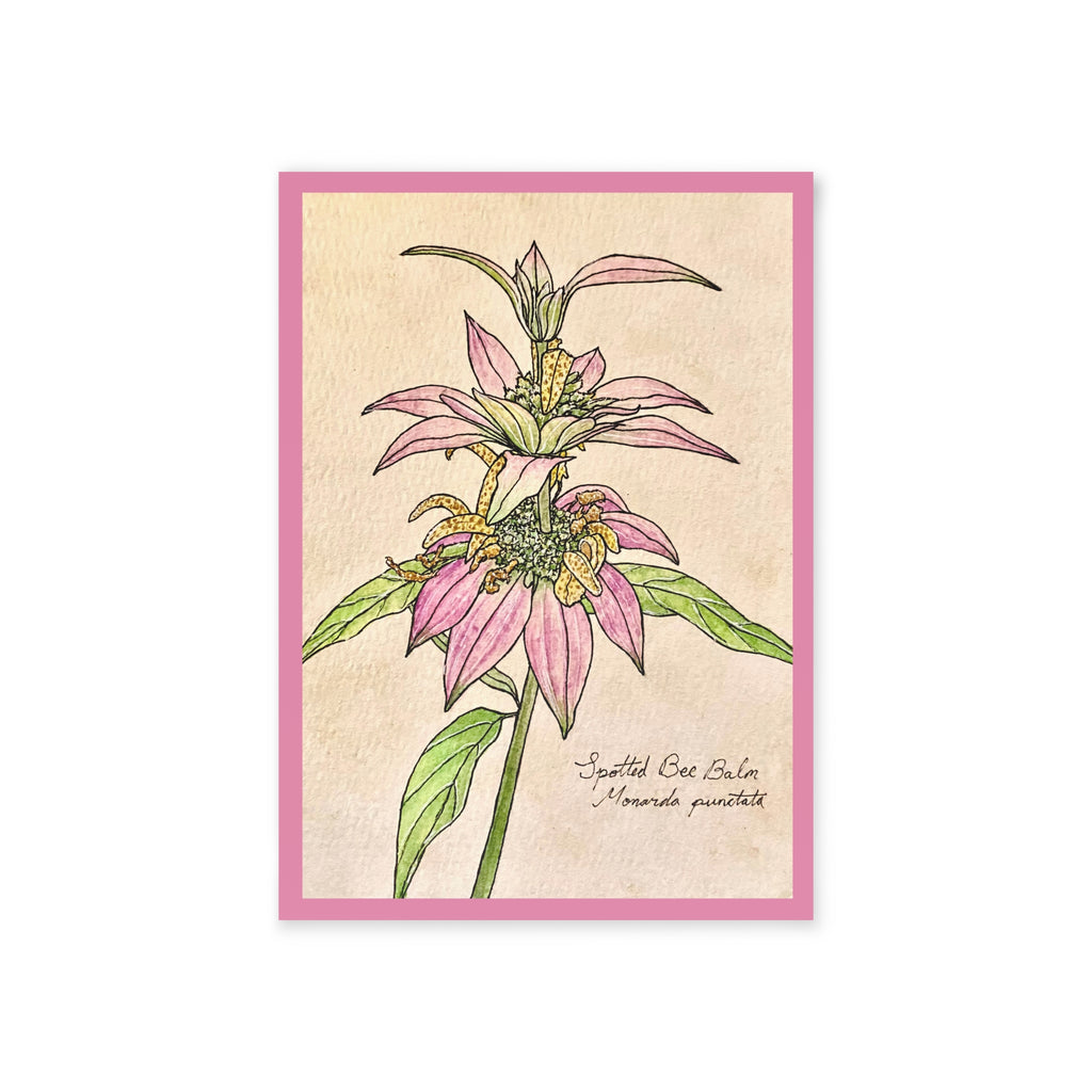 Greeting card with botanical illustration of pink flowers