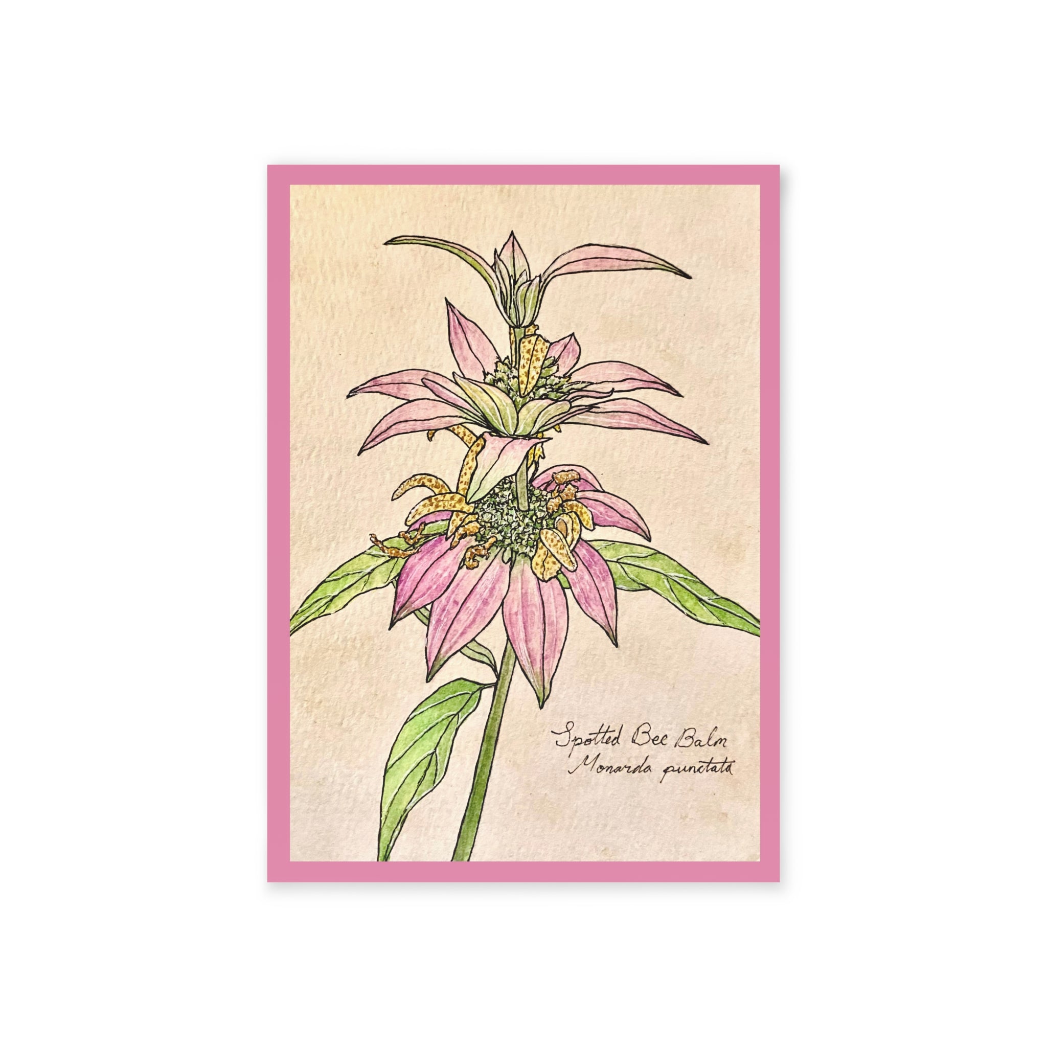 Greeting card with botanical illustration of pink flowers